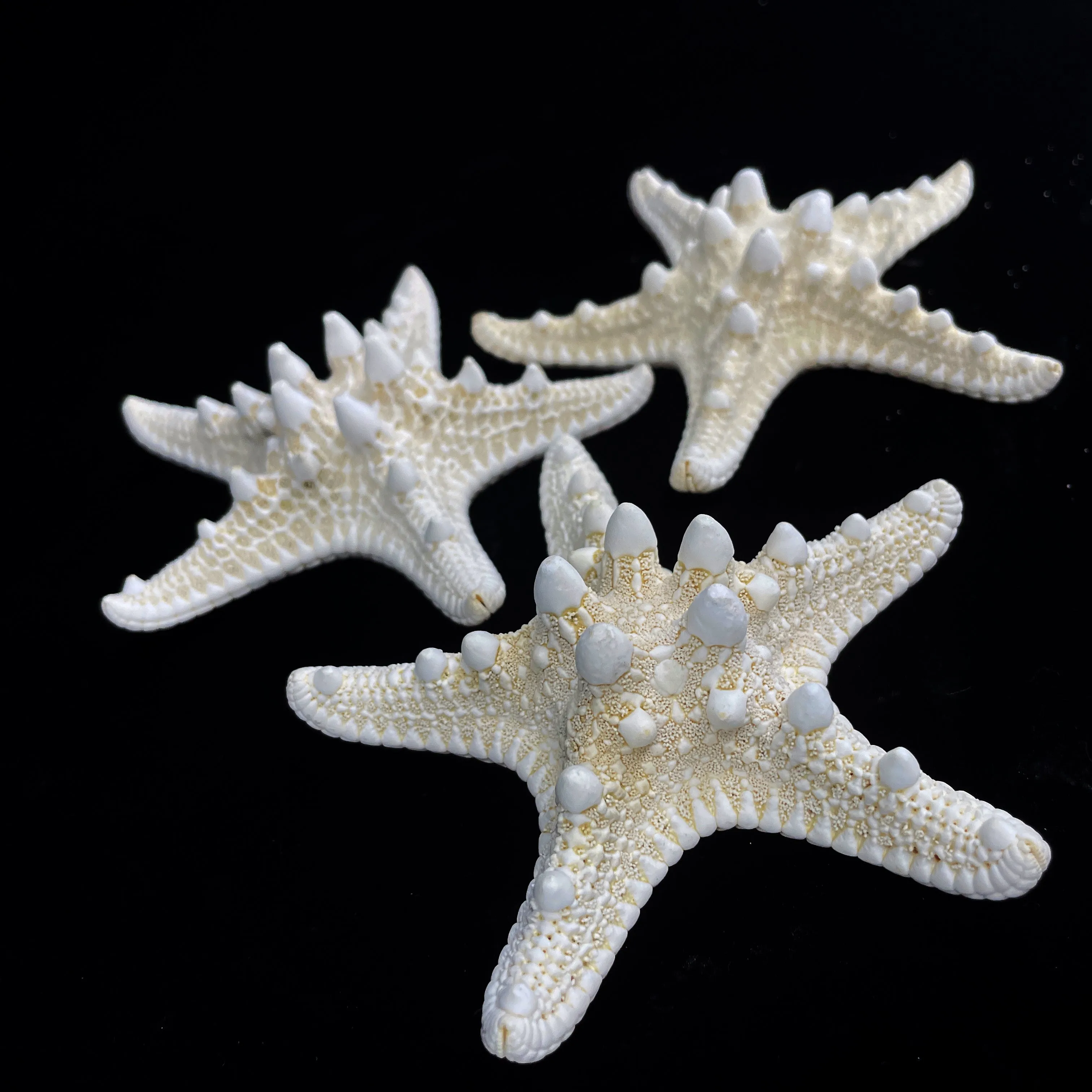 4-5" White Nobby Star