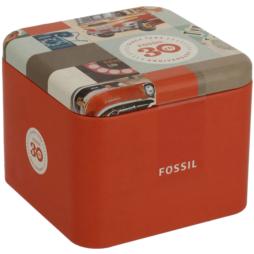 Fossil Womens ES3204 Riley Silver and Gold Tone Watch