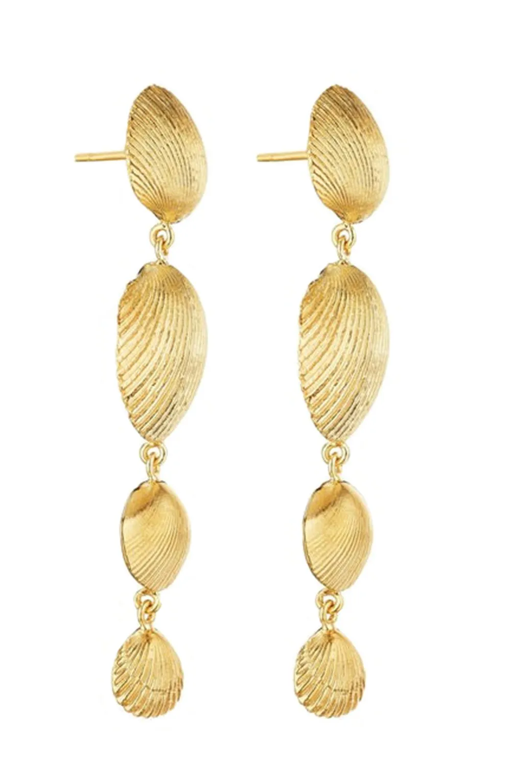 Shell Drop Earrings