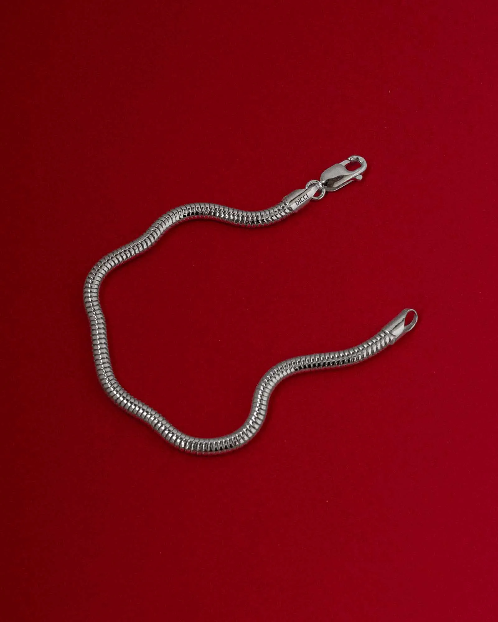 Snake Chain Bracelet